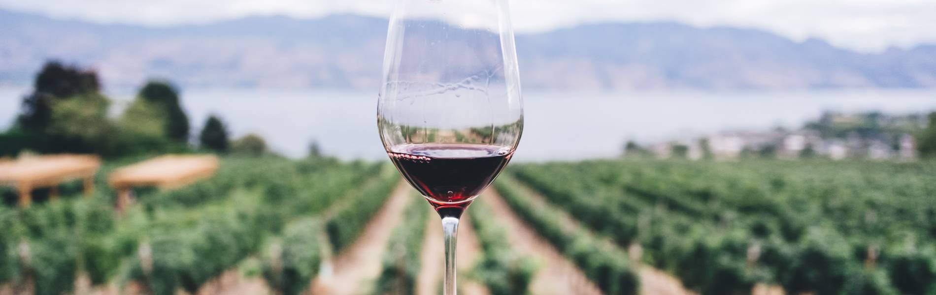 ETH Rioja